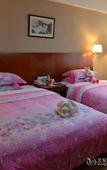 Туры в отель Tiandu International Hotel