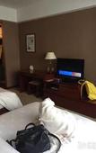 Туры в отель Tiandu International Hotel