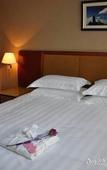 Туры в отель Tiandu International Hotel