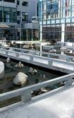 Туры в отель Tiandu International Hotel