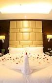 Туры в отель Borrman Hotel (Xiamen Gaoqi Airport Dongdu Ferry Terminal)