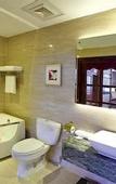 Туры в отель Borrman Hotel (Xiamen Gaoqi Airport Dongdu Ferry Terminal)