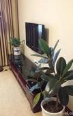 Туры в отель Licheng Songyun Hotel
