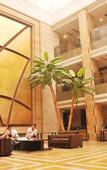 Туры в отель Jinan Huangtai Hotel