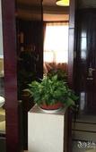 Туры в отель Jinan Huangtai Hotel