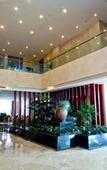 Туры в отель Newport International Hotel