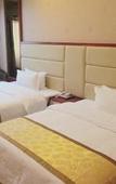 Туры в отель Tongle Business Hotel
