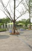 Туры в отель Xishu Forest Hotel