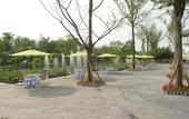 Туры в отель Xishu Forest Hotel