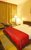 Туры в отель Lotus Hotel