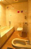 Туры в отель Lotus Hotel