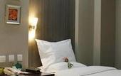 Туры в отель International Trade Hotel
