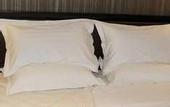 Туры в отель International Trade Hotel