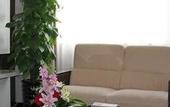 Туры в отель International Trade Hotel