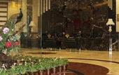 Туры в отель International Trade Hotel