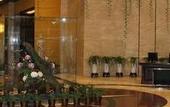 Туры в отель International Trade Hotel