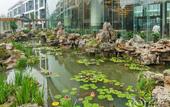 Туры в отель Yongjing Villa Hotel