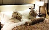 Туры в отель Jufuxin Hotel