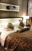 Туры в отель Jufuxin Hotel