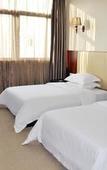 Туры в отель Baike Hotel (Dongguan Vanke Plaza)