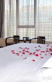 Туры в отель Baike Hotel (Dongguan Vanke Plaza)