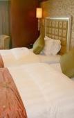Туры в отель Shenyang Royal Wanxin Hotel