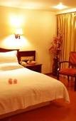 Туры в отель Danshui Xinyuan Gelin Hotel