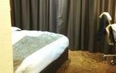Туры в отель Haojiang Boli International Hotel