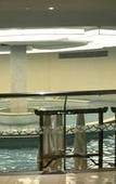 Туры в отель Howard Johnson Dongqian Lake  Plaza Ningbo(Erling Mountain Hot Spring)