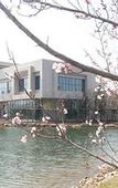 Туры в отель South Lake Hotel