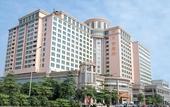 Туры в отель Palace International Hotel