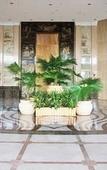 Туры в отель Palace International Hotel