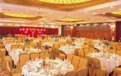 Туры в отель Palace International Hotel