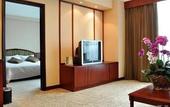 Туры в отель Palace International Hotel