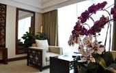 Туры в отель Palace International Hotel