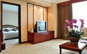 Туры в отель Palace International Hotel