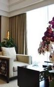 Туры в отель Palace International Hotel