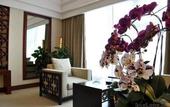 Туры в отель Palace International Hotel