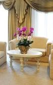 Туры в отель Palace International Hotel