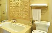 Туры в отель Palace International Hotel