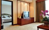 Туры в отель Palace International Hotel