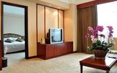Туры в отель Palace International Hotel