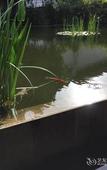 Туры в отель Huanhua Hongtai Hotel