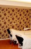 Туры в отель Silver Star Hotel