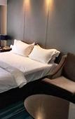 Туры в отель Jinjiang Metropolo Hotel Wuhan Sports Center Subway Station Wanda Plaza