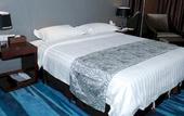 Туры в отель Jinjiang Metropolo Hotel Wuhan Sports Center Subway Station Wanda Plaza
