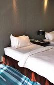 Туры в отель Jinjiang Metropolo Hotel Wuhan Sports Center Subway Station Wanda Plaza
