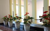Туры в отель Tulou·He Hotel (Shanghai Songjiang New City Metro Station Branch)