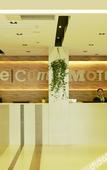 Туры в отель Motel (Shanghai Lujiazui Yushan Road Yuanshen Sports Center)