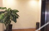 Туры в отель Homeinn · neo (Shanghai Pudong Airport Huinan Subway Station Tongji Road)